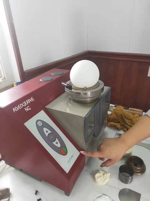 chopin alvegraphIMG_1231