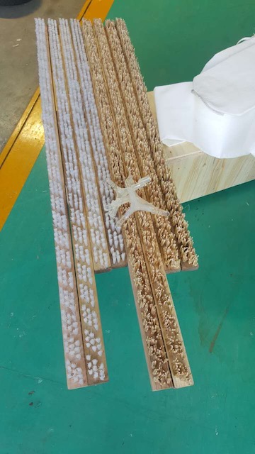 bartflourmillmachinery buhler roller mill brusesIMG_8294