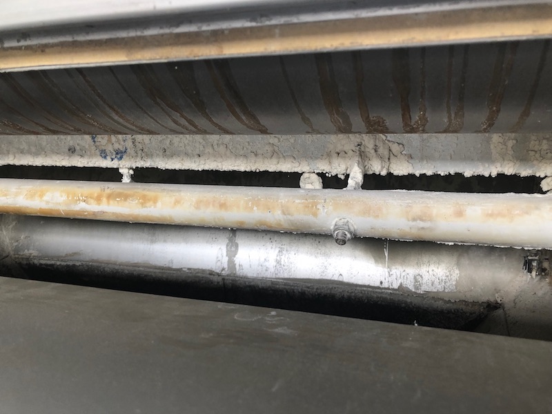 GBS Italy European Brand FLour Mill Roller millsIMG_3328