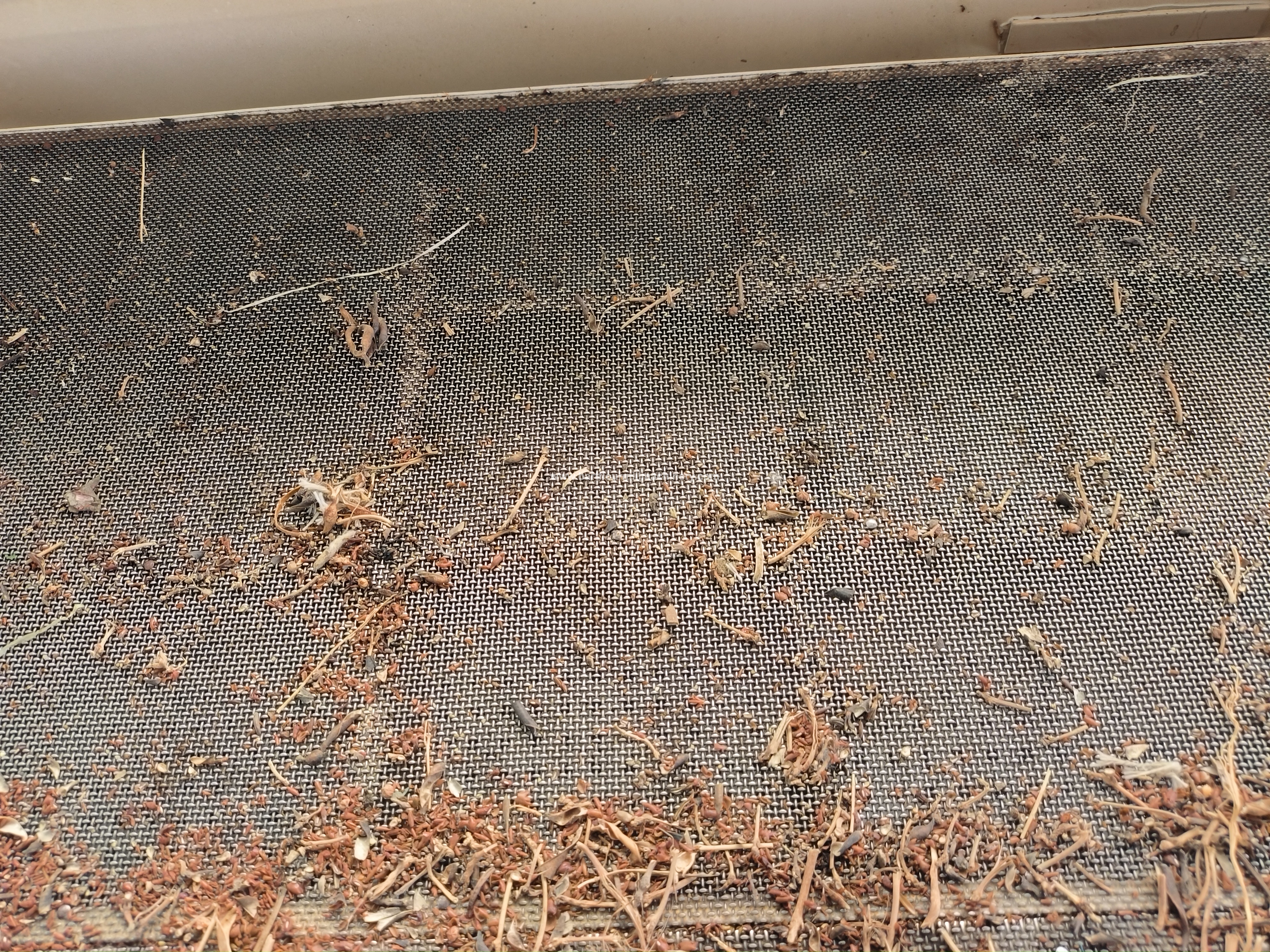 destoner mtsd Buhler flour mill machinesIMG_2101