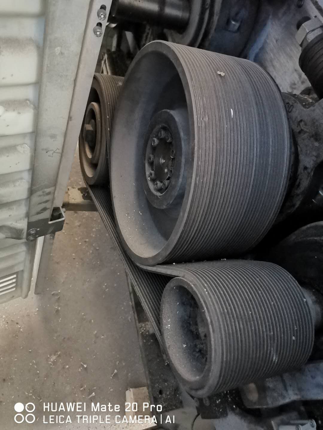 bart gbs roller mills and purifiersIMG_2289